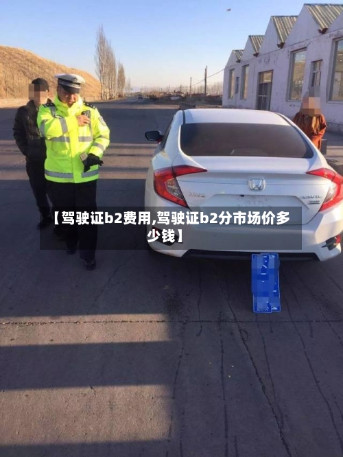 【驾驶证b2费用,驾驶证b2分市场价多少钱】-第3张图片