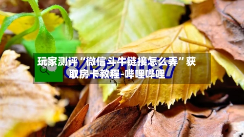 玩家测评“微信斗牛链接怎么弄”获取房卡教程-哔哩哔哩