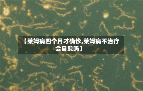 【莱姆病四个月才确诊,莱姆病不治疗会自愈吗】
