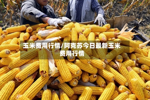 玉米费用行情/阿克苏今日最新玉米费用行情