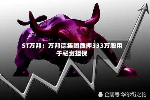 ST万邦：万邦德集团质押333万股用于融资担保-第2张图片