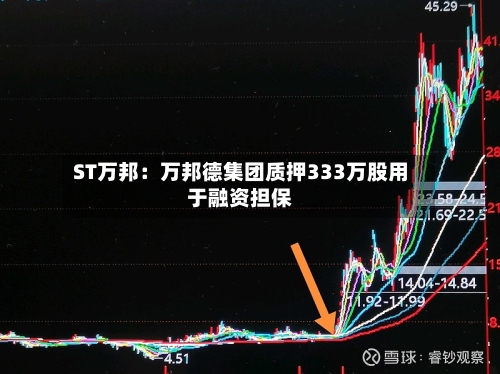 ST万邦：万邦德集团质押333万股用于融资担保-第3张图片