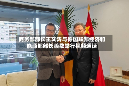 商务部部长王文涛与德国联邦经济和能源部部长赖歇举行视频通话