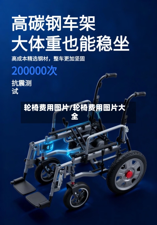 轮椅费用图片/轮椅费用图片大全