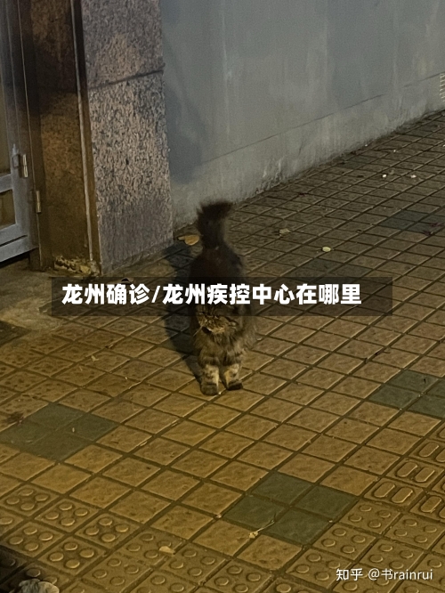 龙州确诊/龙州疾控中心在哪里