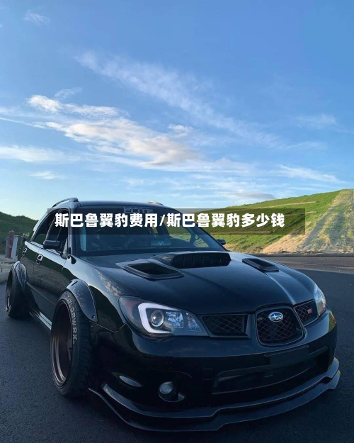 斯巴鲁翼豹费用/斯巴鲁翼豹多少钱-第3张图片