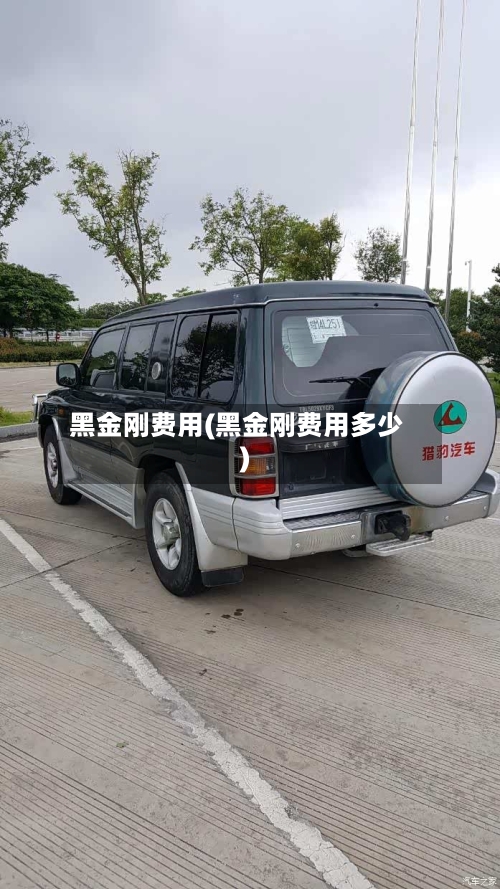 黑金刚费用(黑金刚费用多少)-第2张图片