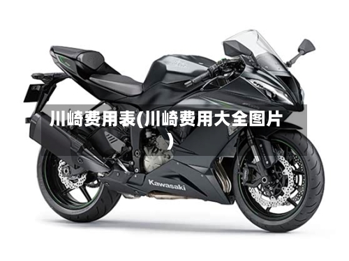 川崎费用表(川崎费用大全图片)-第2张图片