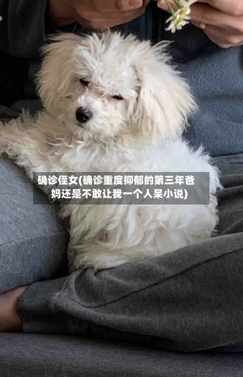 确诊侄女(确诊重度抑郁的第三年爸妈还是不敢让我一个人呆小说)