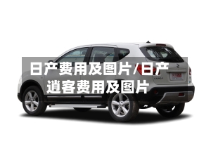 日产费用及图片/日产逍客费用及图片-第3张图片