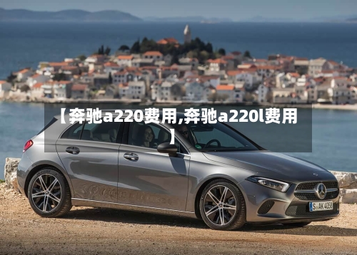 【奔驰a220费用,奔驰a220l费用】-第2张图片