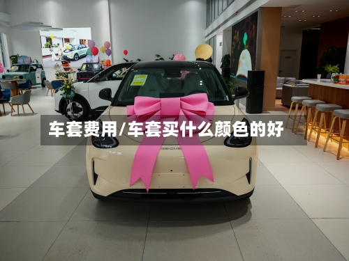 车套费用/车套买什么颜色的好-第2张图片
