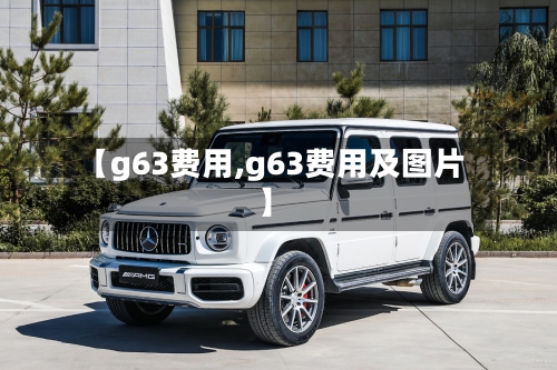 【g63费用,g63费用及图片】