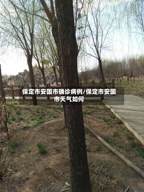 保定市安国市确诊病例/保定市安国市天气如何