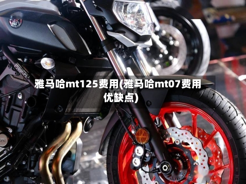 雅马哈mt125费用(雅马哈mt07费用优缺点)-第2张图片