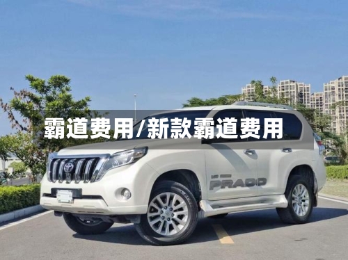 霸道费用/新款霸道费用-第3张图片