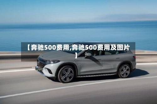 【奔驰500费用,奔驰500费用及图片】-第2张图片