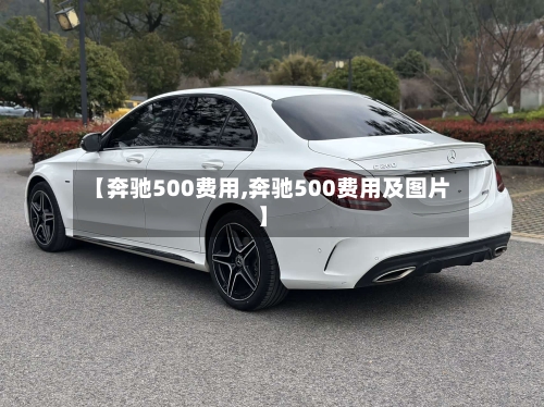 【奔驰500费用,奔驰500费用及图片】