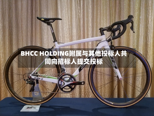 BHCC HOLDING附属与其他投标人共同向招标人提交投标-第3张图片