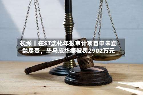 视频丨在ST沈化年报审计项目中未勤勉尽责，毕马威华振被罚2902万元