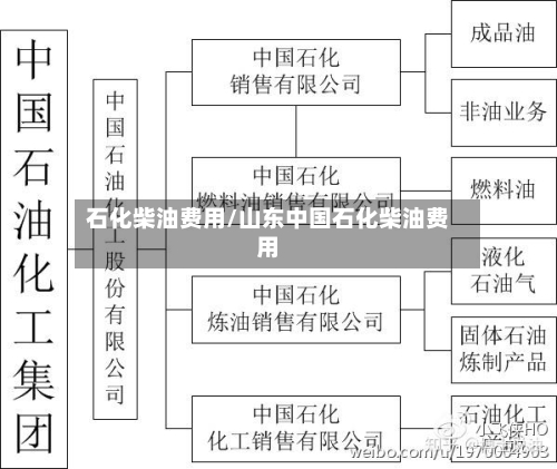 石化柴油费用/山东中国石化柴油费用