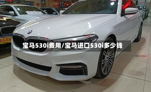 宝马530i费用/宝马进口530i多少钱-第2张图片