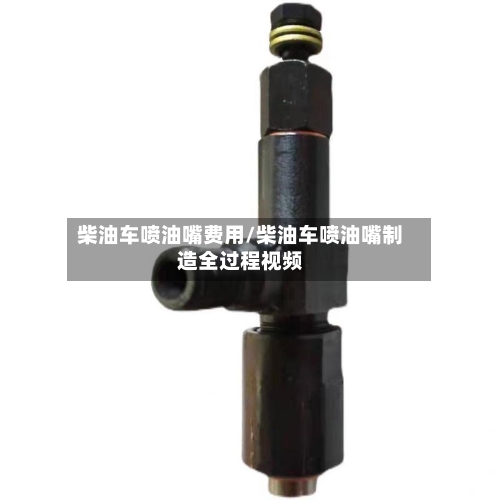 柴油车喷油嘴费用/柴油车喷油嘴制造全过程视频