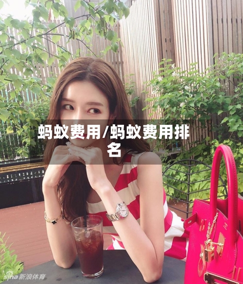蚂蚁费用/蚂蚁费用排名