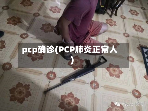 pcp确诊(PCP肺炎正常人)-第3张图片