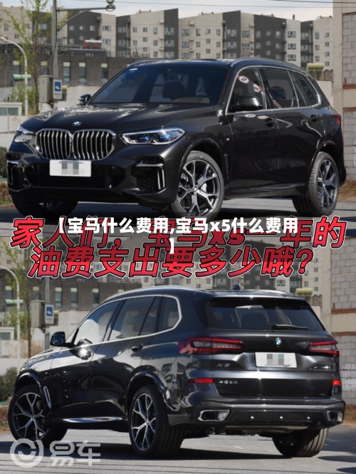 【宝马什么费用,宝马x5什么费用】-第2张图片