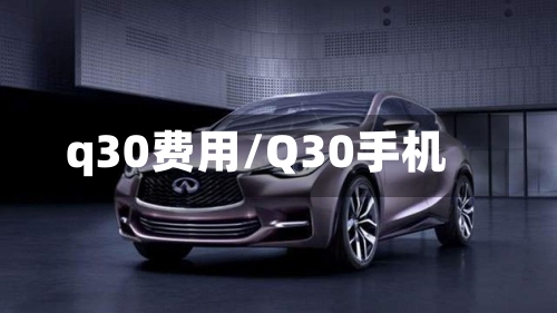 q30费用/Q30手机-第2张图片