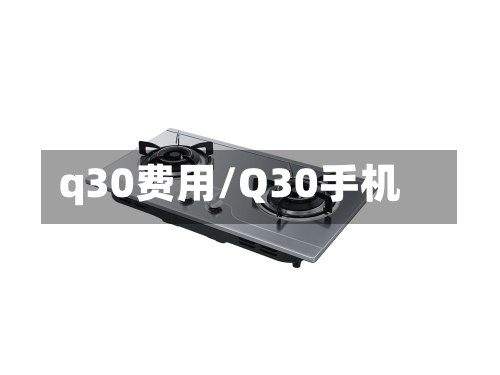 q30费用/Q30手机