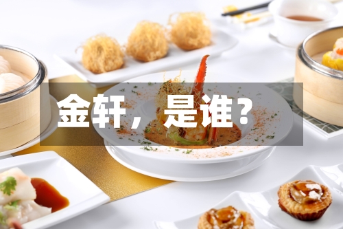 金轩,是谁?