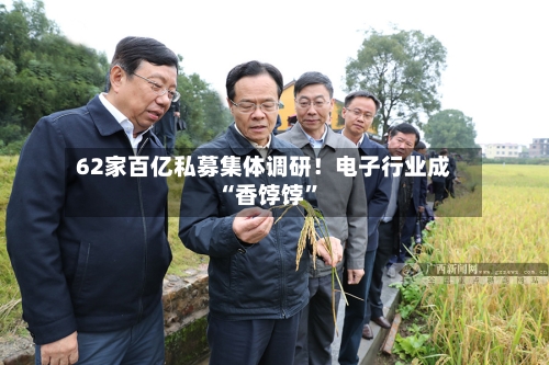 62家百亿私募集体调研!电子行业成“香饽饽”