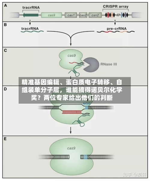 精准基因编辑	、蛋白质电子转移、自组装单分子层，谁能摘得诺贝尔化学奖？两位专家给出他们的判断-第3张图片