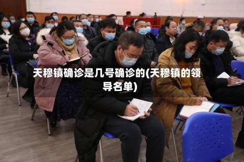 天穆镇确诊是几号确诊的(天穆镇的领导名单)