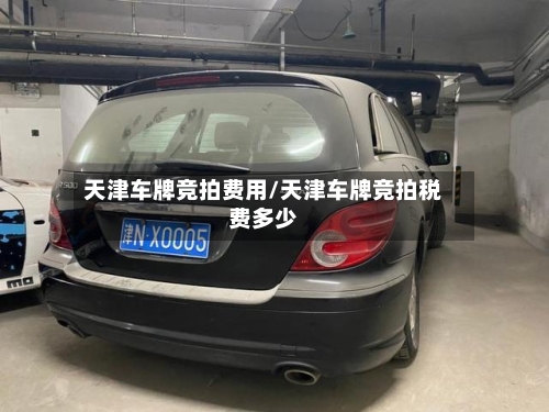 天津车牌竞拍费用/天津车牌竞拍税费多少