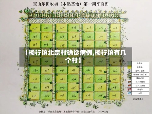 【杨行镇北宗村确诊病例,杨行镇有几个村】
