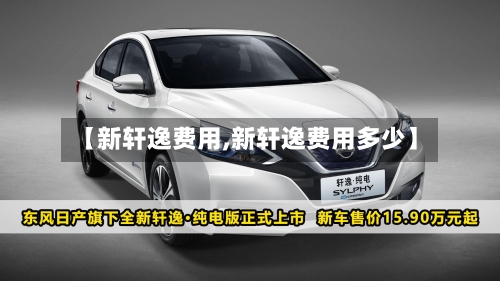 【新轩逸费用,新轩逸费用多少】