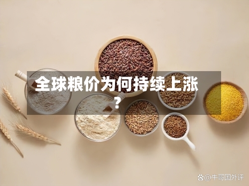 全球粮价为何持续上涨？