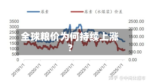 全球粮价为何持续上涨?-第2张图片