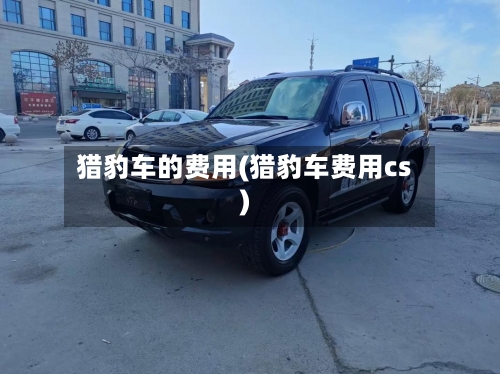 猎豹车的费用(猎豹车费用cs)