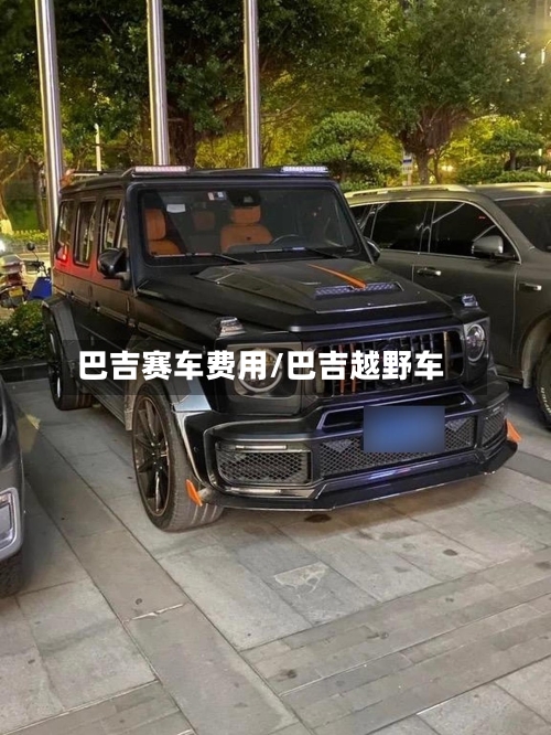 巴吉赛车费用/巴吉越野车