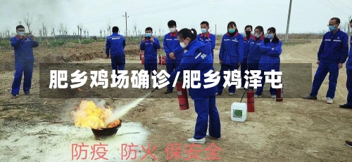 肥乡鸡场确诊/肥乡鸡泽屯