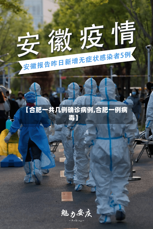 【合肥一共几例确诊病例,合肥一例病毒】