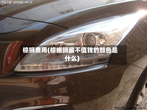 棕狮费用(棕蜥狮最不值钱的颜色是什么)