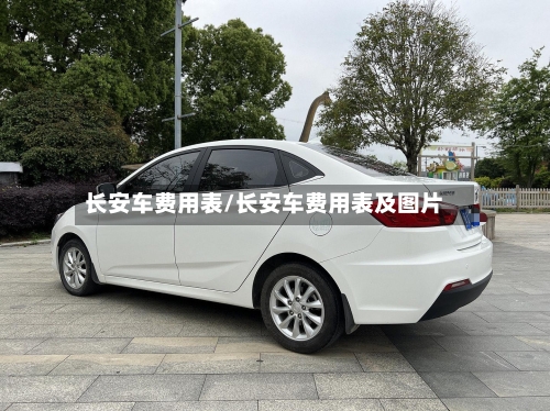 长安车费用表/长安车费用表及图片