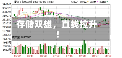 存储双雄，直线拉升！