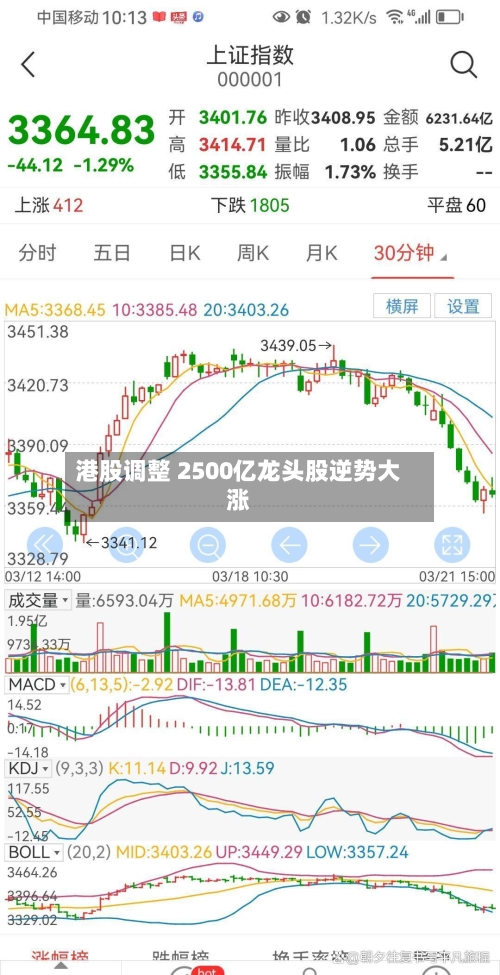 港股调整 2500亿龙头股逆势大涨