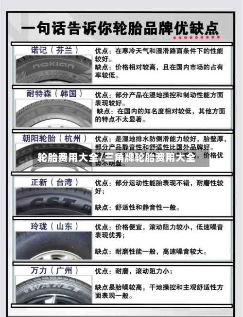 轮胎费用大全/三角牌轮胎费用大全-第2张图片